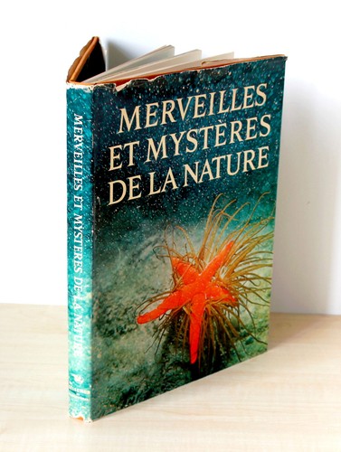 Livre merveilles mysteres - livre,