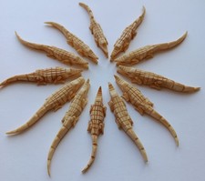 vintage afrique période coloniale 12 porte couteaux animaux crocodiles (11~12cm)