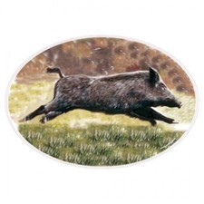 Autocollant sanglier logo1-3