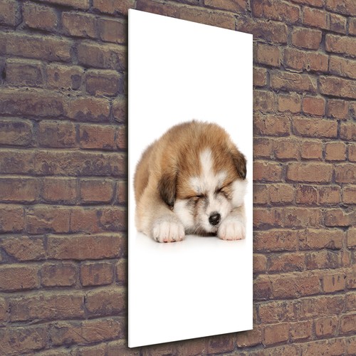 Tulup image sur verre - tulup,