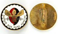 INSIGNE TAP 17° RGP 1° Cie