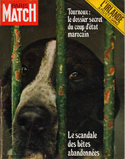 Paris Match n° 1163 du 21 août 1971 - Brigitte Bardot et les chiens abandonnés