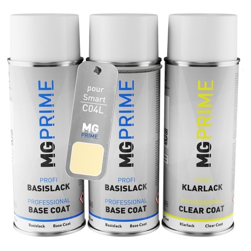 Peinture voiture kit bombe