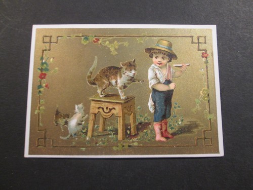 Chromo sans marque le chat - le,