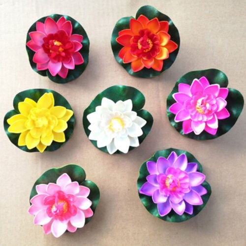 Lotus flottant nénuphar - , en