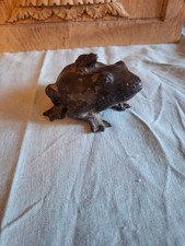 GRENOUILLE AVEC SON PETIT SUR