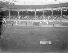 Corrida taureau arène - corrida,, taureau,