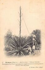 Algérie - EL ANÇOR - Jardin de la Villa Soleil - Ed. J. Geiser 17