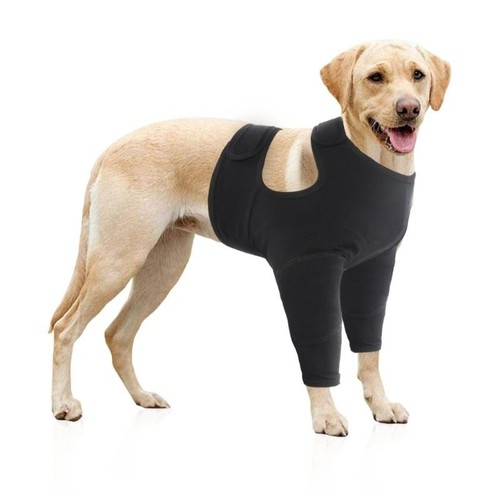 Chien coude attelle manche - coude,