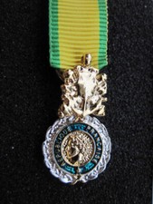 Médaille Miniature ( Réduction)  Médaille Militaire