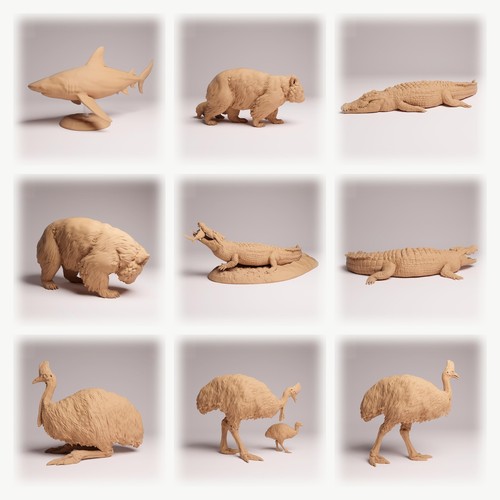 Australie océanie set fig - set,