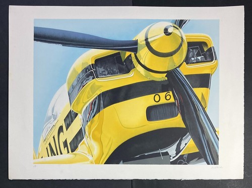 François bricq avion - bricq, "l'avion