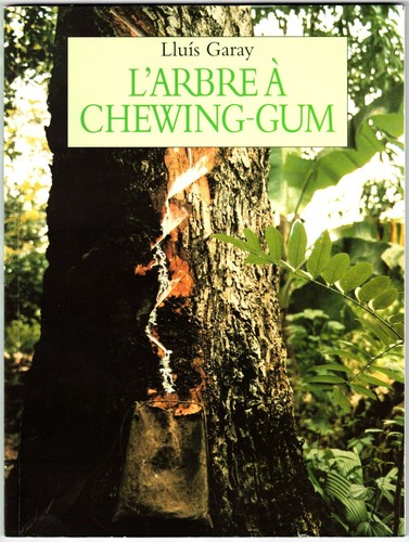 Arbre chewing gum de - de, lluis