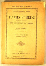 JULES PIZZETTA PLANTES BETES HISTOIRE NATURELLE A TRAVERS BOIS SCIENCE NATURELLE