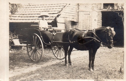 Bl704 carte photo vintage - carte,