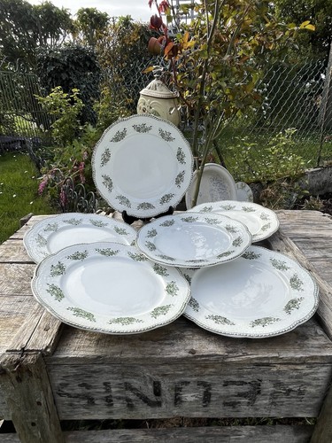 Assiettes dessert - 6,