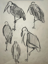 Oiseaux DESSIN ORIGINAL signé RAYMOND RENEFER Marabout Heron XX°