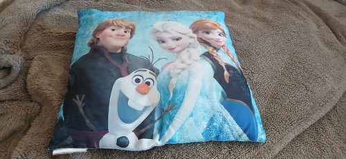 Coussin reine des neiges - coussin,