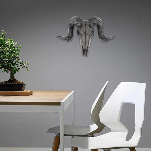 Tête crâne mouton - crâne,