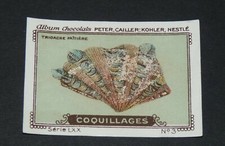 CHROMO PETER CAILLER KOHLER