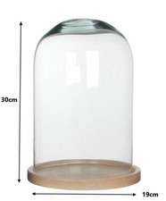 Vitrine Cupole Cloche Verre
