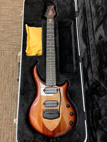 Ernie ball music - ernie, man