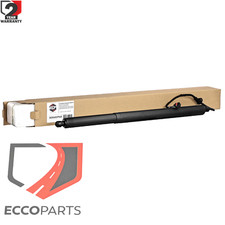 Verin de Hayon de coffre