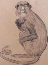 Dessin encadré art animalier