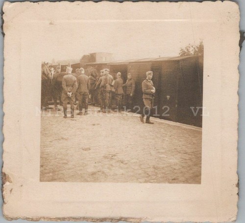 Photo transport chevaux - transport, en