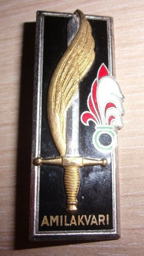 Insigne 141 promotion - 141°,