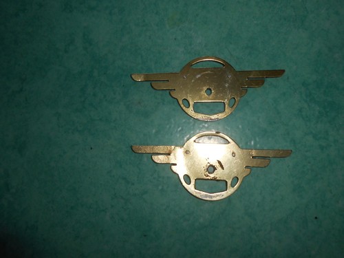 Paire logos ailes dorées