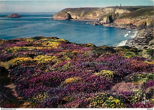 Carte postale le - carte,