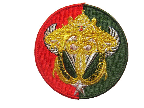 Ecusson des dragons - ecusson,