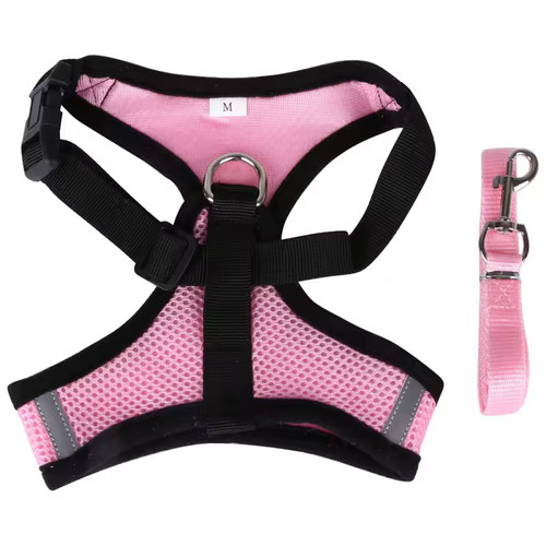 Harnais pour chien - pour, ou
