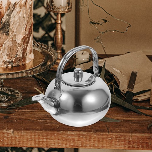 Théière isotherme chinoise - théière,