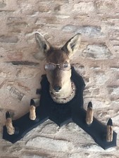 Tête De Chevreuil Porte