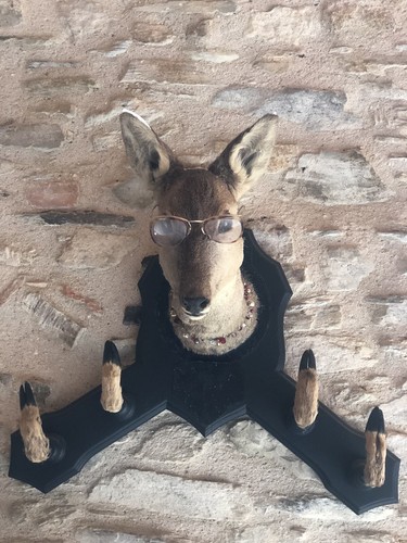 Tête chevreuil porte - de,