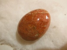 stock fossiles lot de