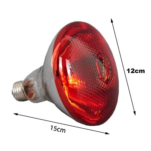 Lampe chauffante pour poules - pour,