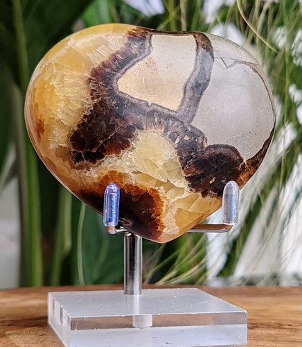 Cœur septaria de - en,