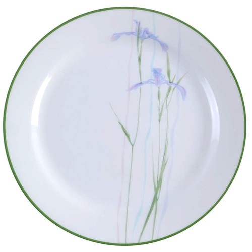 Corning corelle shadow - corning,
