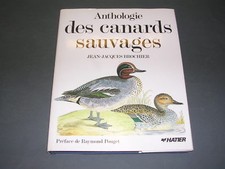 Chasse Canards JJ Brochier