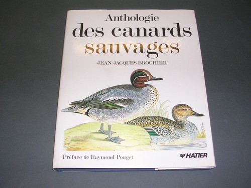 Chasse canards brochier - chasse, jj