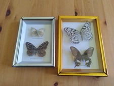 2 Cadres Papillons