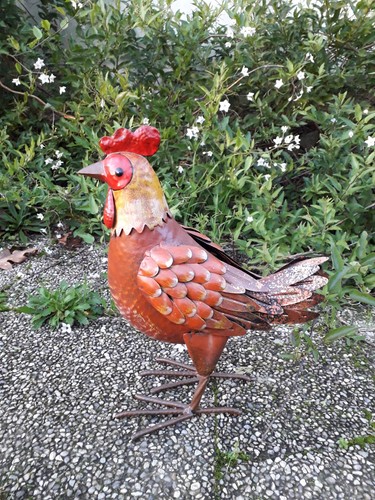 Coq tôle peinte - en,