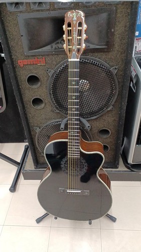 Guitare acoustique électrique