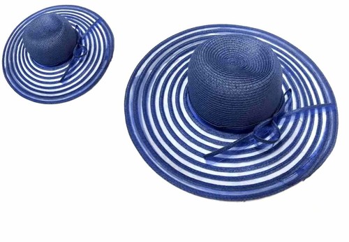Chapeau bleu élégant - chapeau,