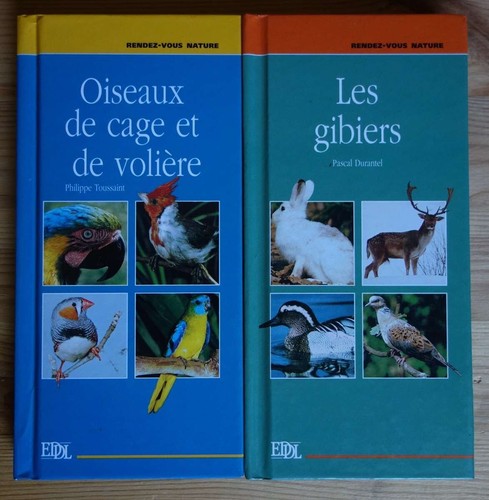 Lot oiseaux cage de - cage,