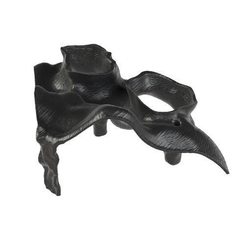 Crafted black mangrove - la,
