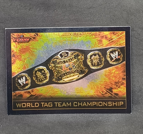 World tag team - (m2),